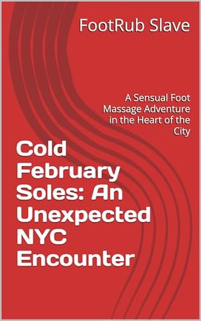 Cold February Soles: An Unexpected NYC Encounter book cover