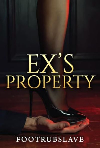 Ex's Property book cover