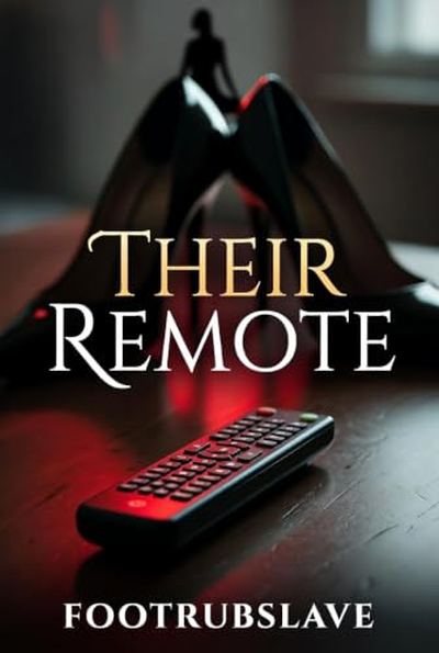 Their Remote book cover